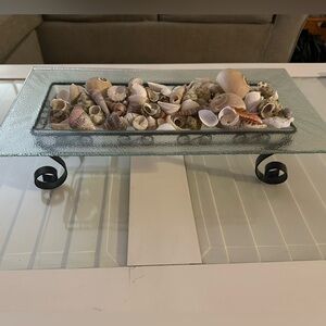 Pretty decor tray & shells